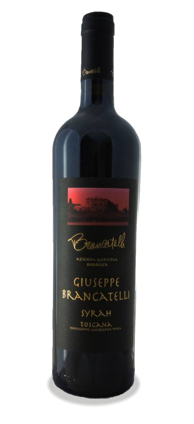 105. Guiseppe Brancatelli 2017 - VILD PRIS!