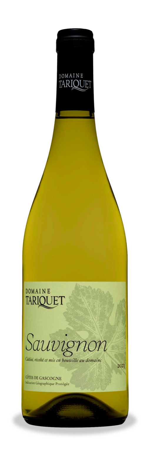 13. Tariquet Sauvignon 2024