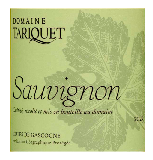 13. Tariquet Sauvignon 2024 - Image 2