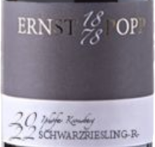 93. Iphöfer Kronsberg - Schwarzriesling, NY - Image 2